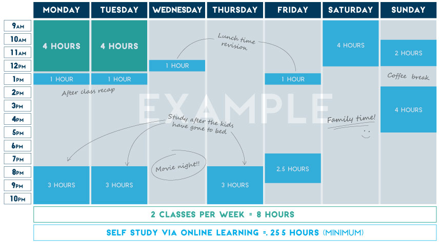 Criminology and psychology with foundation year timetable example