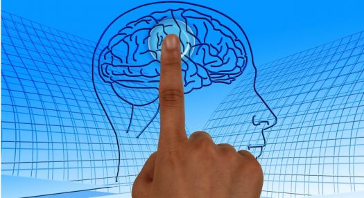 A finger pointing to an image of a brain