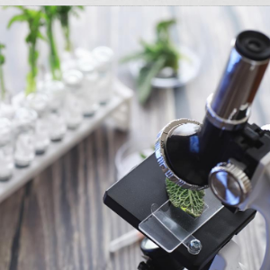 Arden University Experimental Officer Webinar