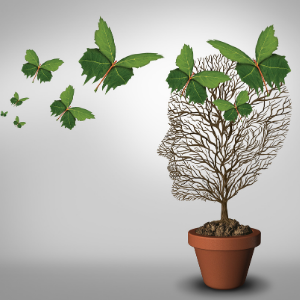 Where can a degree in Psychology take you?